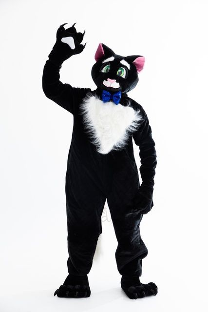 Tom Cat Costume