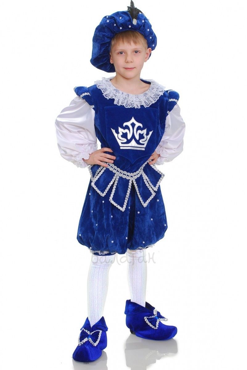 Prince in Blue Costume