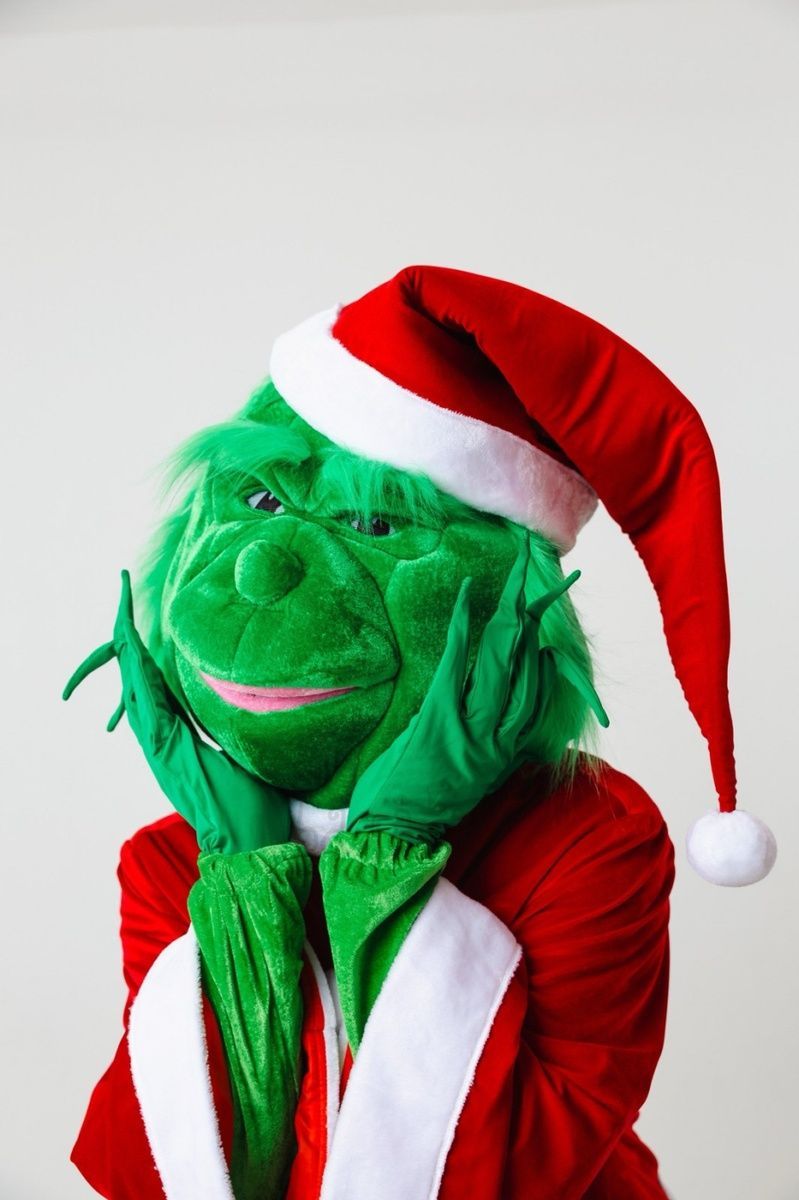Grinch costume