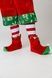 Elf Festive Costume