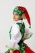 Elf Girl Festive Costume