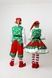 Elf Girl Festive Costume