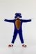 Sonic suit