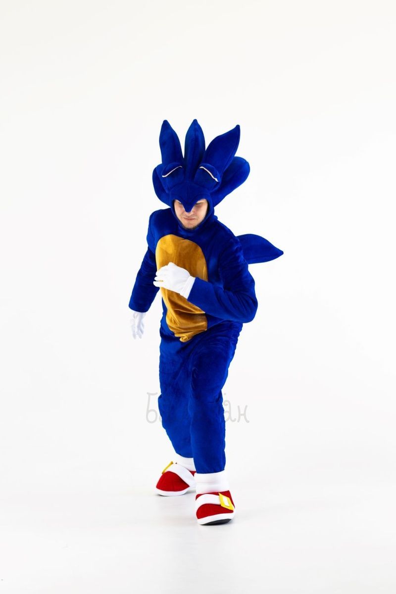 Sonic suit