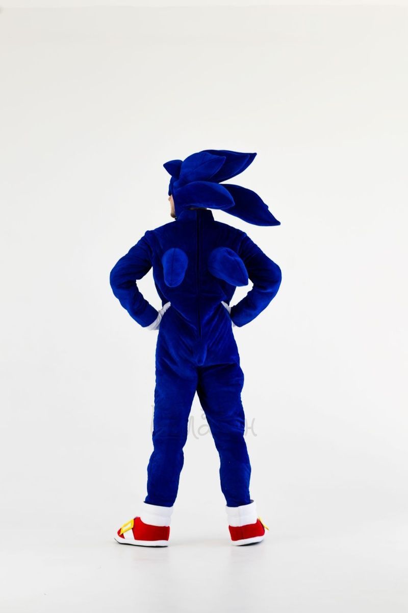 Sonic suit
