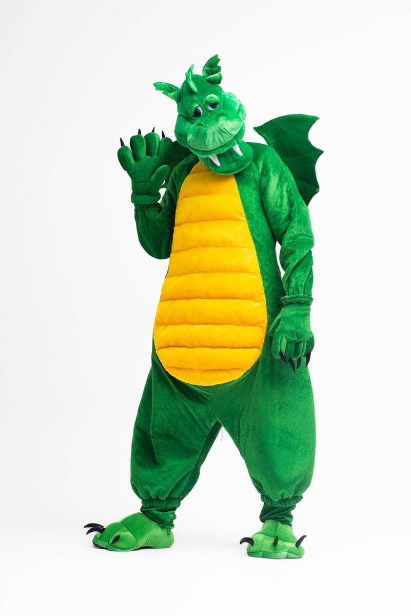 Dragon Costume