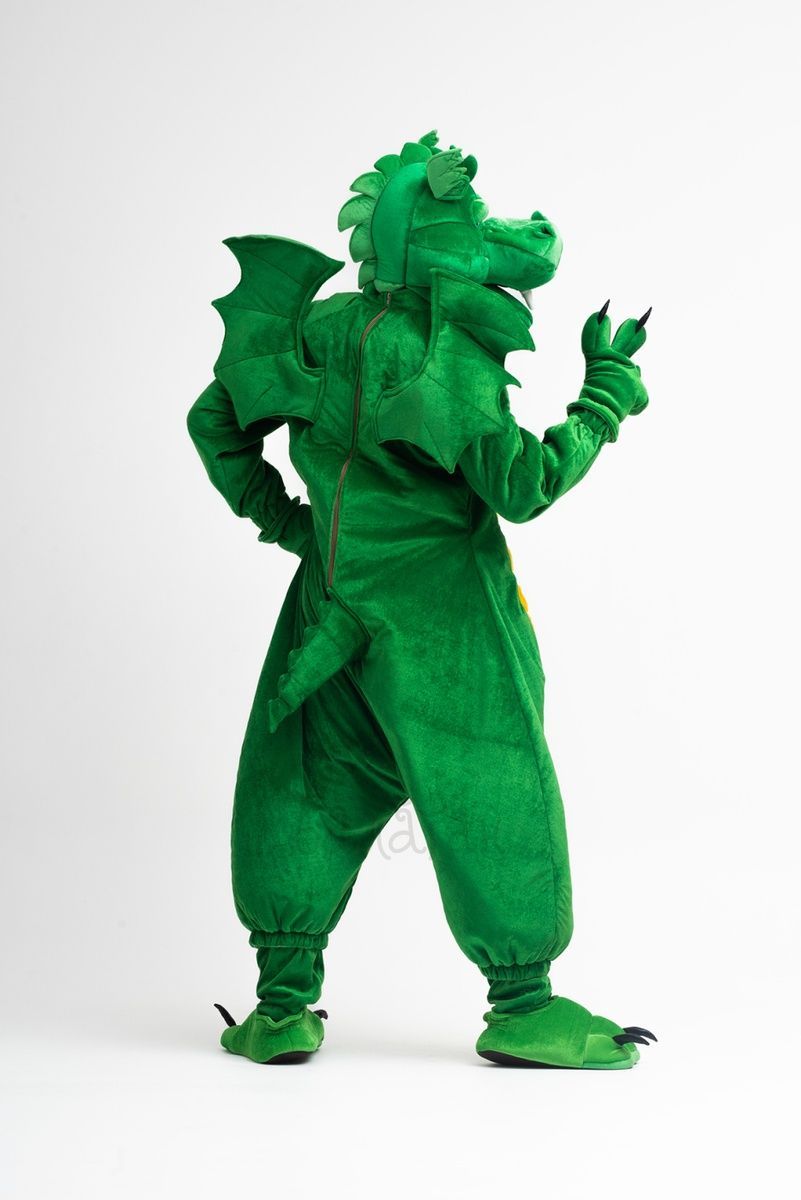 Dragon Costume